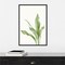 Cast Iron Plant II by and Slyp Errico Canvas Wall Art Print Framed